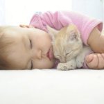 Allergy to cats in infants