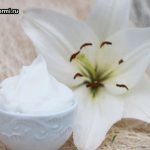 White lily and cream in a saucer