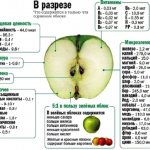 Что содержится в только что сорванном яблоке?