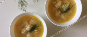 Children&#39;s soup with meatballs step by step recipe with photos