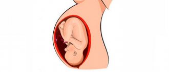 Head presentation of the fetus