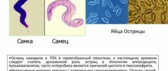 как лечить острицы у детей