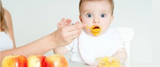 Какой должен быть режим питания у ребенка в 6 месяцев