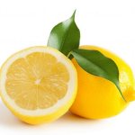 Lemon in the diet of a nursing mother and baby