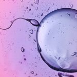 Признаки оплодотворения яйцеклетки, симптомы зачатия