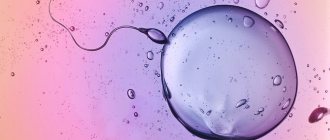 Признаки оплодотворения яйцеклетки, симптомы зачатия