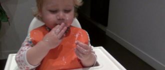 Child eats turkey meat