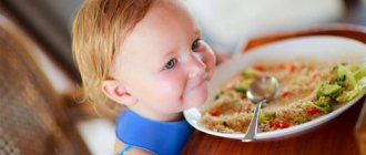 Рецепты для ребенка 2 года на завтрак, обед, ужин, в мультиварке. Состав, как готовить, фото