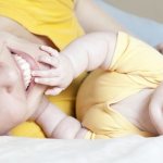 Baby&#39;s daily routine at 11 months: how to establish
