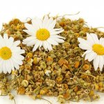 Chamomile tea is the only tea that is allowed for children from the first months
