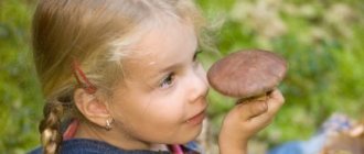 At what age can children be given mushrooms?