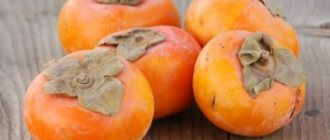 At what age can a child be given persimmon?