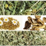 herbal collection