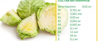Composition of white cabbage