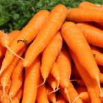 Связки моркови