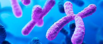 Scientists blame the X chromosome