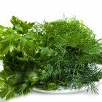 Dill and parsley for children